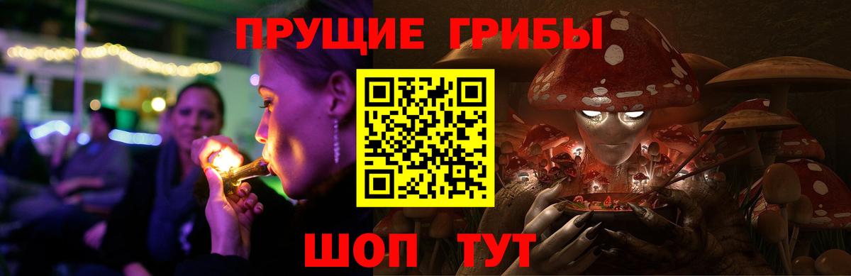 Барнаул  Псилоцибиновые грибы Psilocybe  Вход с VPN 
